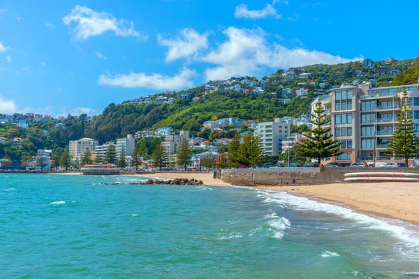 Oriental bay beach in Wellington New Zealand