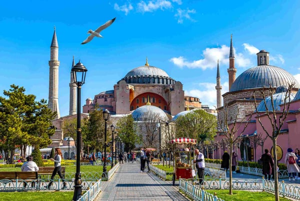 Seagull over Hagia Sophia