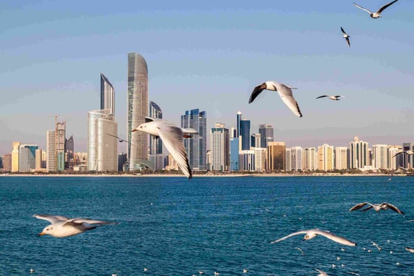 Skyline of Abu Dhabi with sea gulls