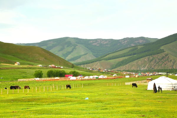 The ger camp in a large meadow at Ulaanbaatar Mongolia