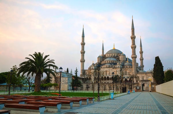 Turkey in the morning