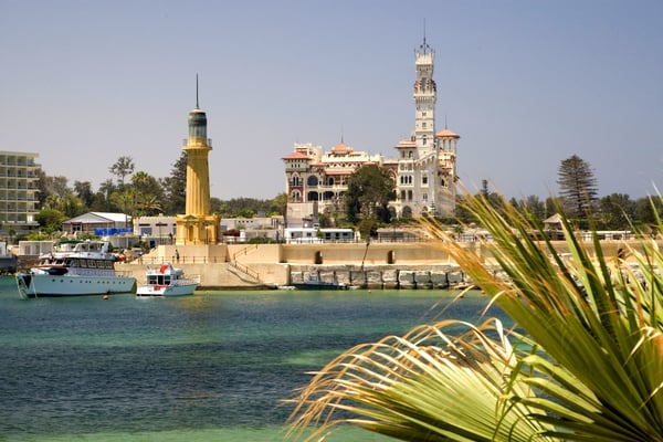 alexandria city 