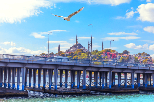 bird flying over the ataturk bridge and the suleymaniye mosque in the background istanbul 