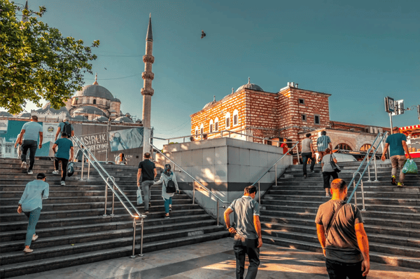 bird flying over the ataturk bridge and the suleymaniye mosque in the istanbul turkey 