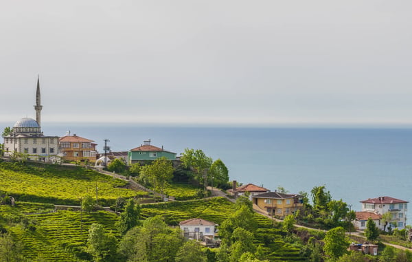 black sea region is the greenest of the entire turkey