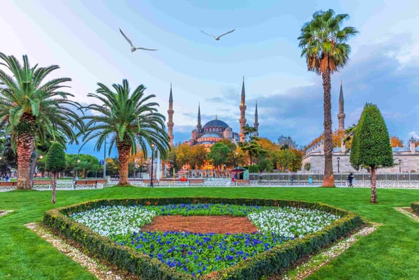blue mosque and the flower bed in the sultan ahmet park