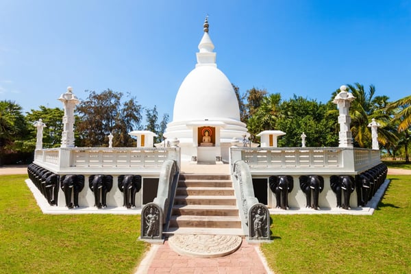 dambakola patuna sri sangamitta viharaya temple is a buddhist temple near jaffna sri lanka