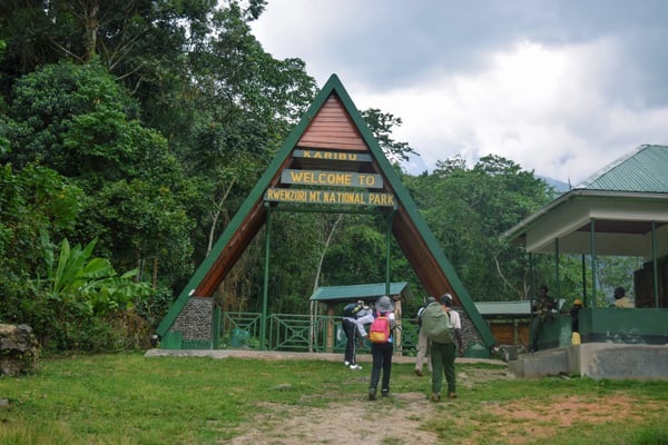 group of hikers at rwenzori mountains uganda