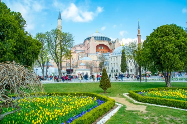 hagia sophia is seen behind the tulips and fountain at sultan ahmet square in istanbul