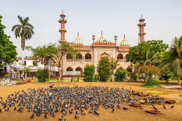 karachi masjid aram bagh mosque 