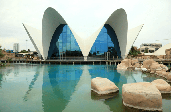 oceanografic oceanarium in valencia spain