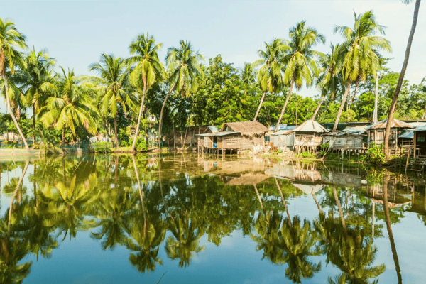 palms and village houses reflecting in a pond in bagerhat bangladesh