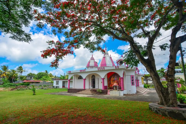 port louis mauritius a hindu temple with flamboyant tree in port louis mauritius 