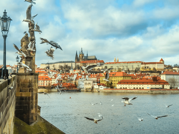 prague castle with saint vitus cathedral hradcany prague czech republic