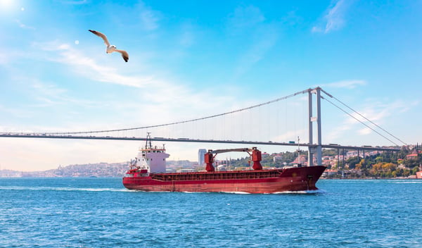 ship in the marmara sea and the bosphorus bridge