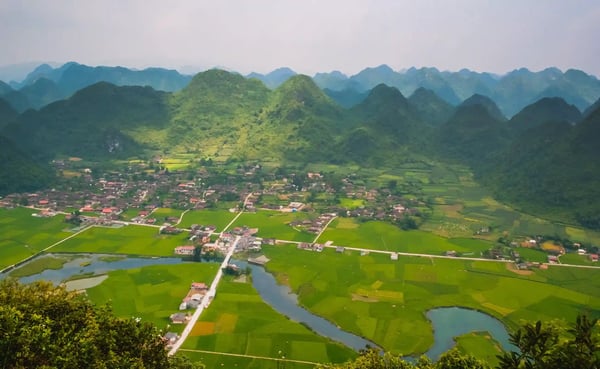 terrace of rice on the harvesting season at bac son valley famous province in northwest vietnam