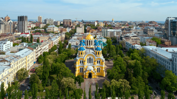 the vladimir