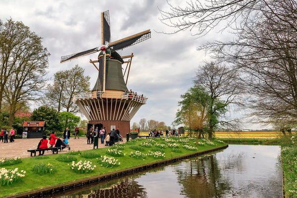 tourists at the windmill in flower park the keukenhof garden of europe kitchen garden in lisse netharland 