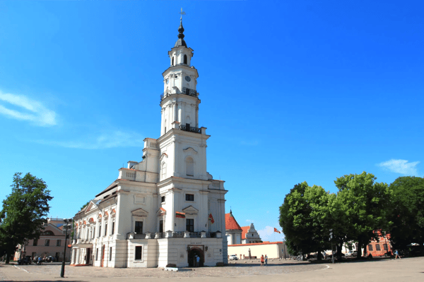 town hall white swan in the center of kaunas at the town hall square in lithuania