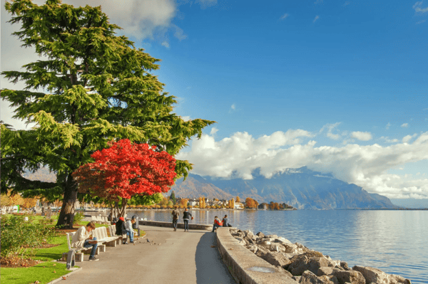 vevey switzerland landscape of embankment in vevey canton of vaud switzerland 