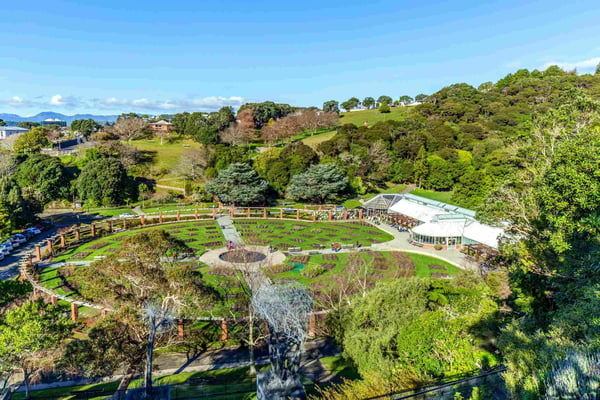 wellington botanic garden wellington new zealand