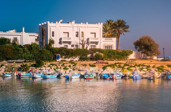 white house in tunisia