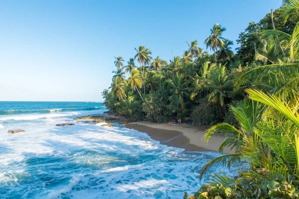 wild caribbean beach of manzanillo at puerto viejo costa rica