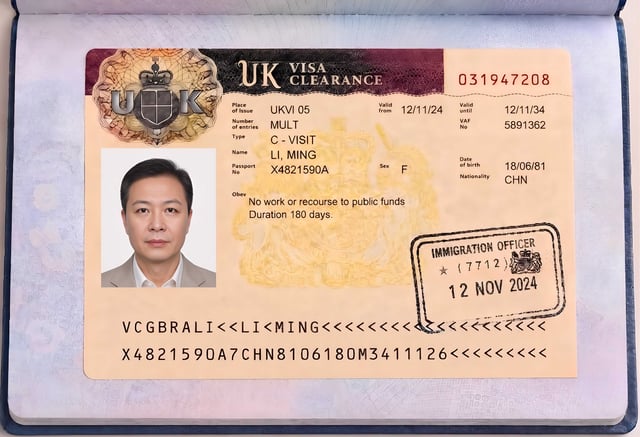 Ejemplo de Visa Válida