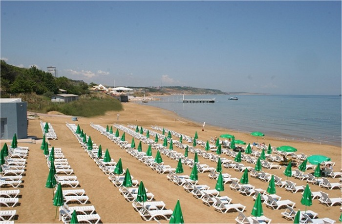 Nonstop Beach
