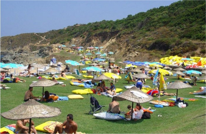 Dalia Beach Club