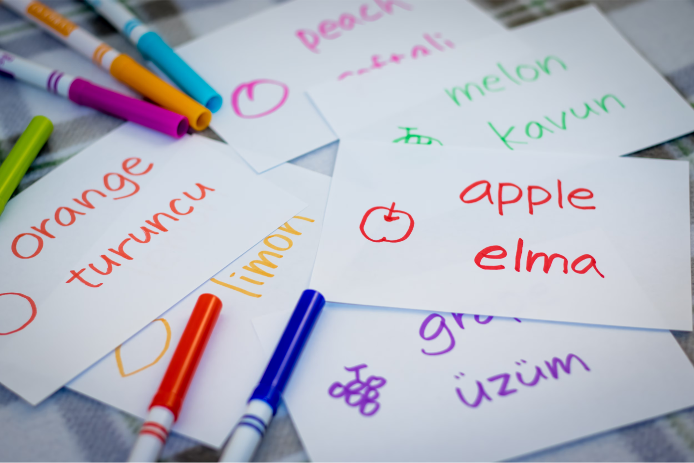 Connect Through Language
