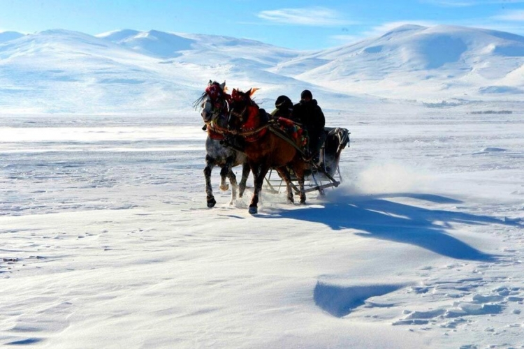 Kars