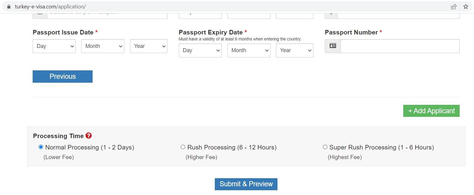 Turkish e-Visa Processing Time