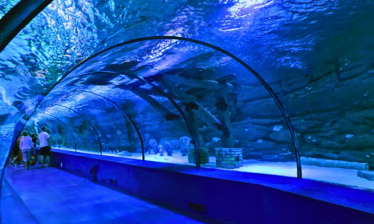Antalya Aquarium