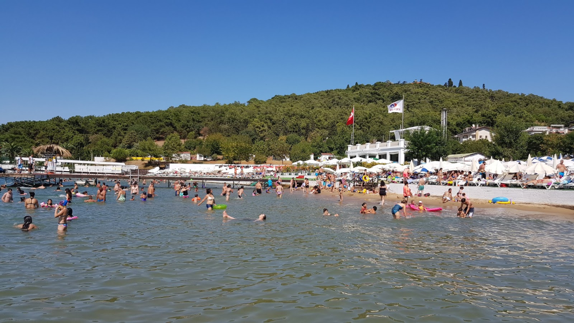 Aqua Green Beach Club