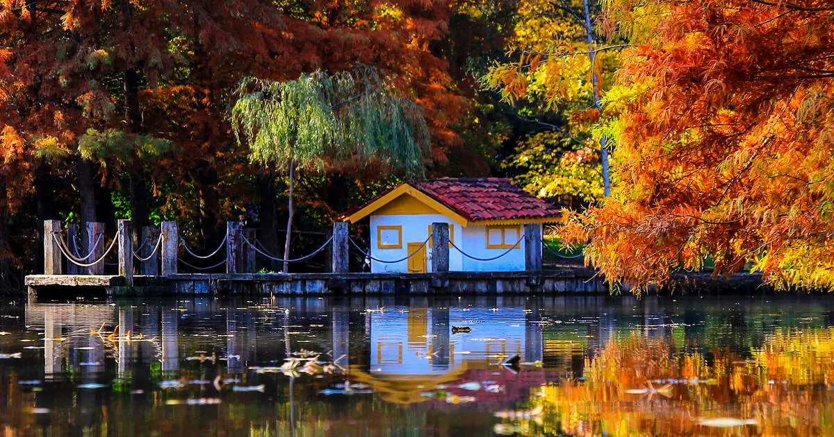 Ataturk Arboretum