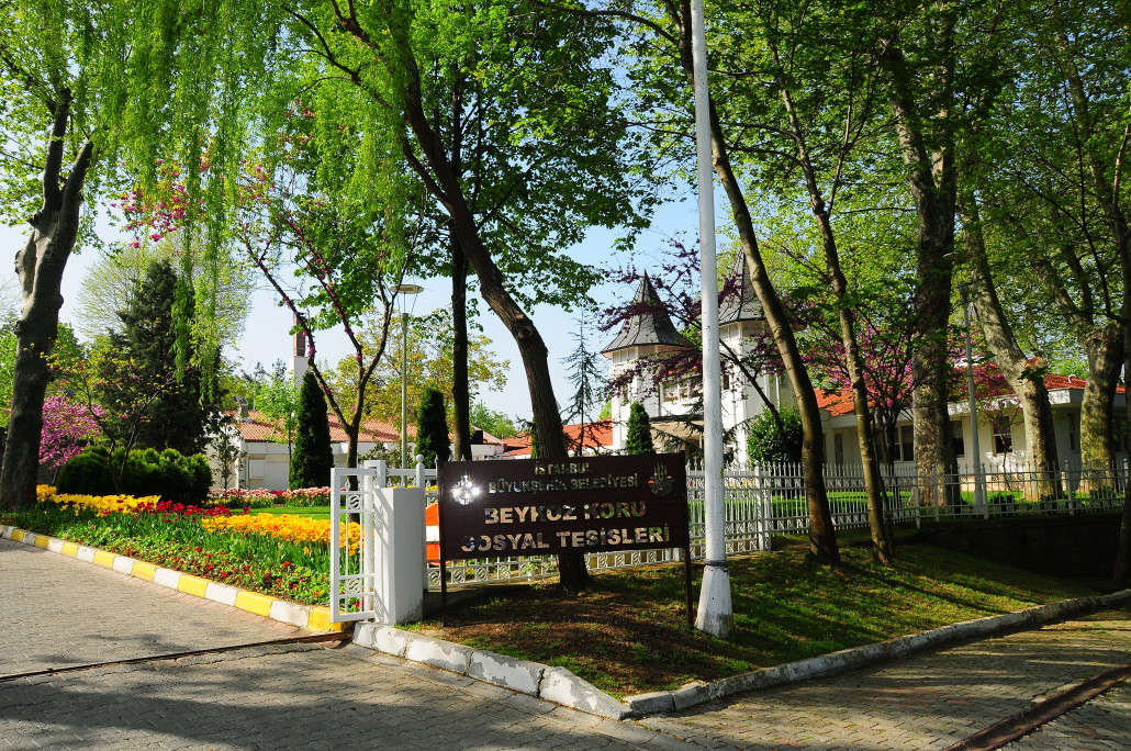 Exploring Nature at Beykoz Korusu