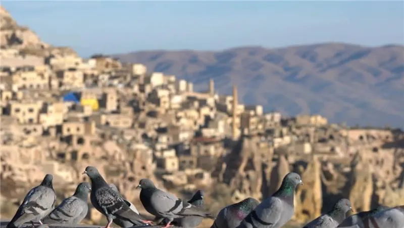 Exploring Pigeon Valley in Cappadocia