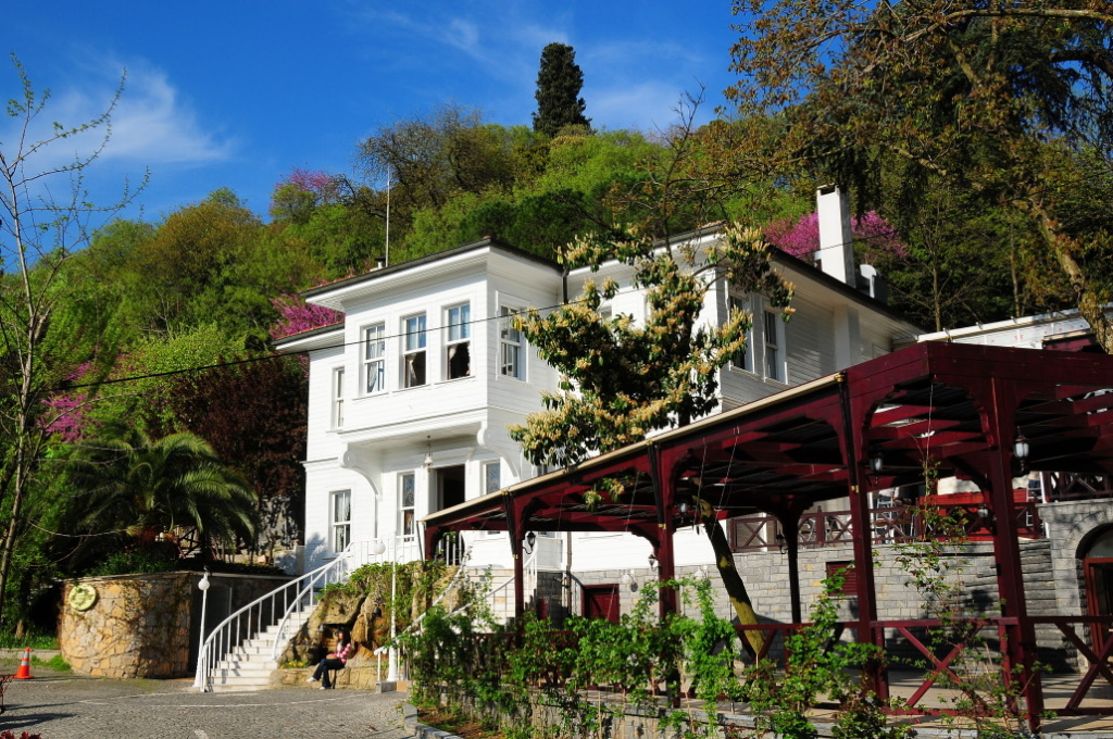 Finding Serenity at Fethipaşa Sosyal Tesisleri