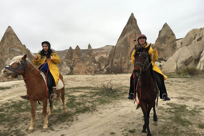 Horse Tours