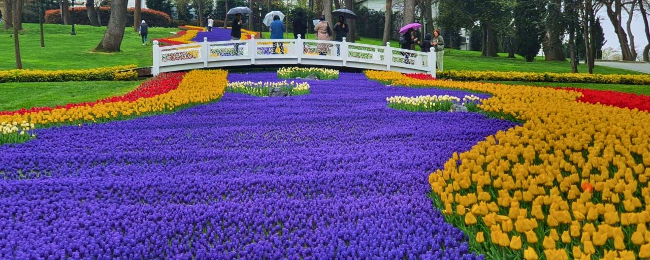 Turkish Tulip Festival
