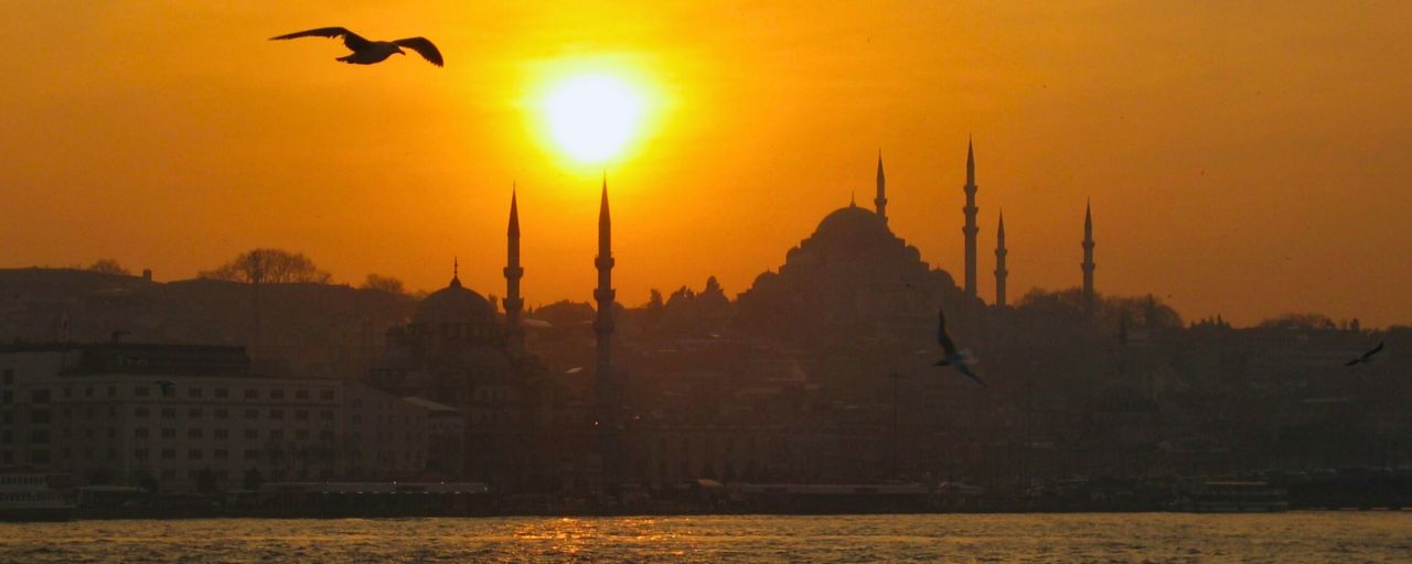 Watch The Sunset