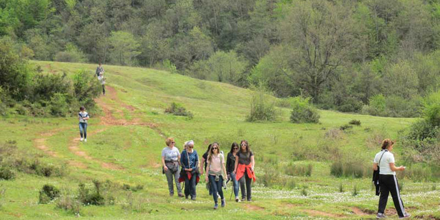 Nature Walk & Trekking