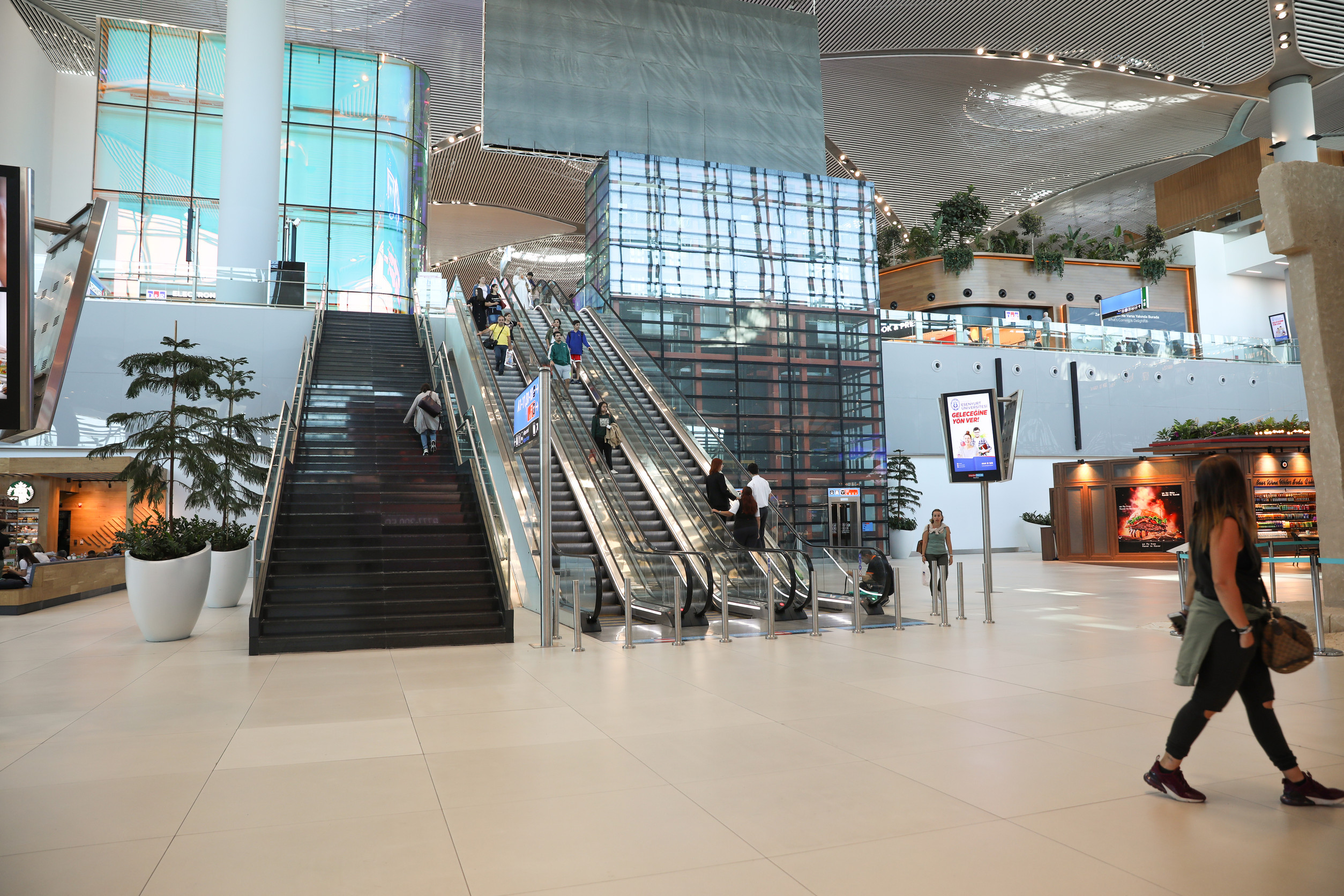 New Order Issued For 6 Countries Regarding Visa