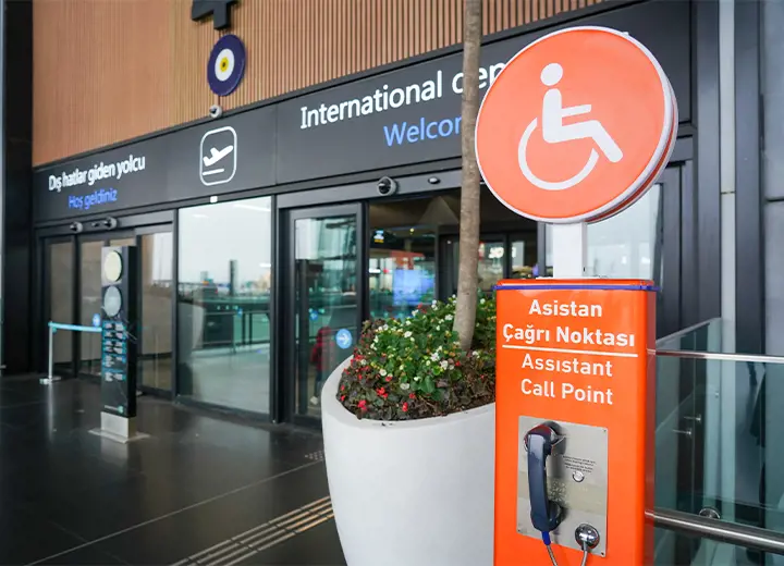 Multilingual Assistance at IST