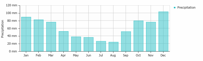 Rainfall and Snowfall Insights in January