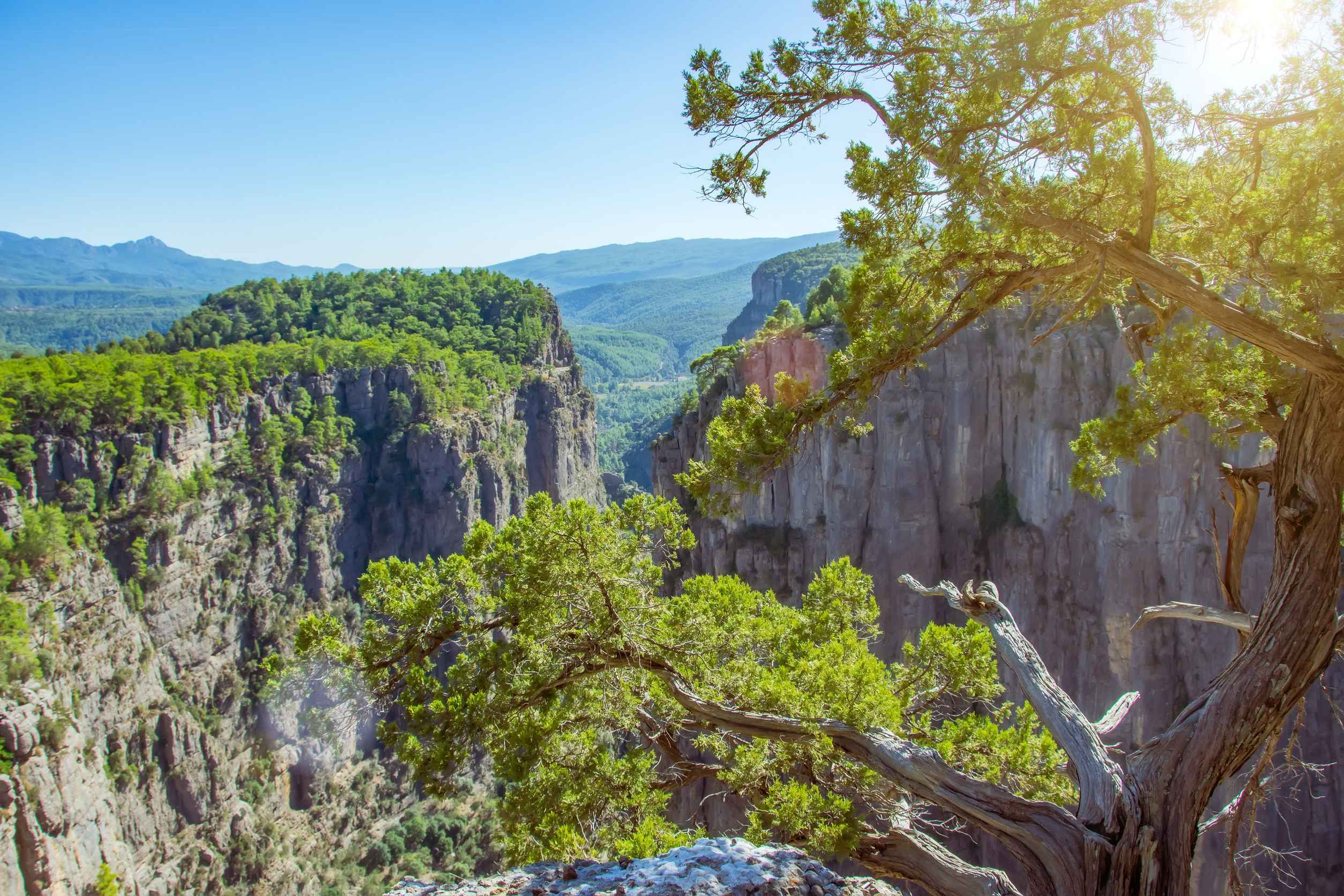 Saturated And Contrasting Panoramic View Of The Tazi Canyon