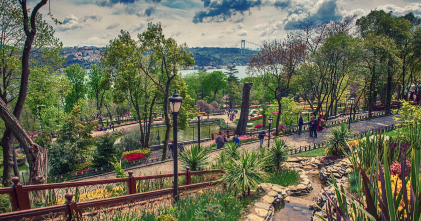 Exploring Istanbul's Hidden Oasis