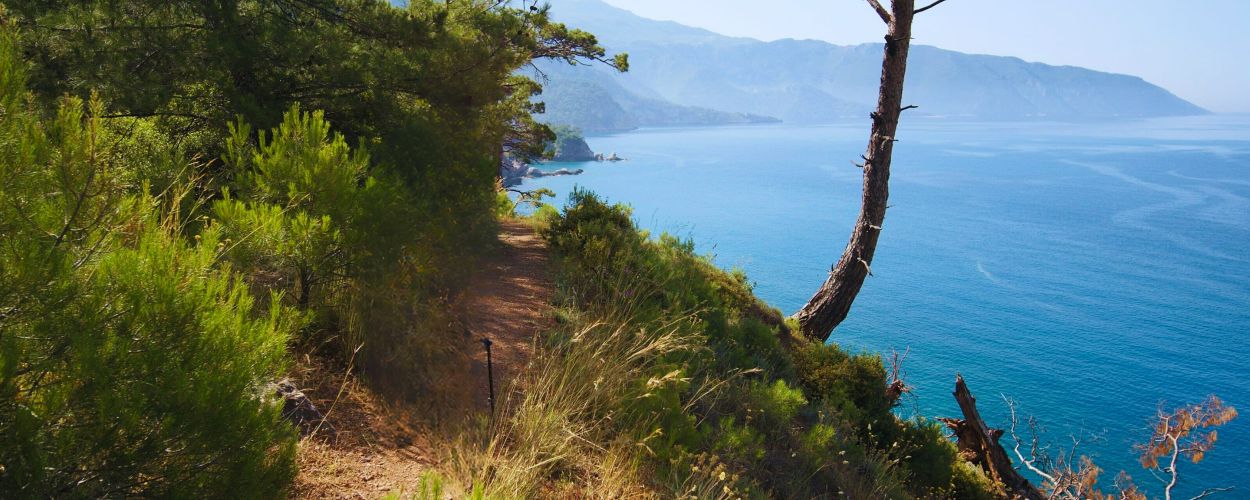 Hike The Surrounding Trails