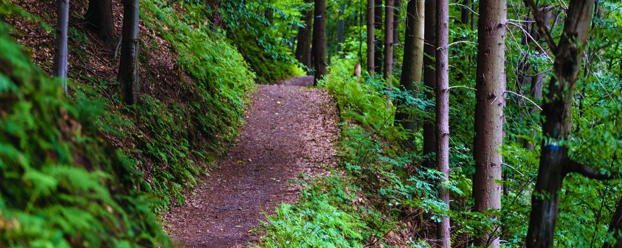 St Paul Trail